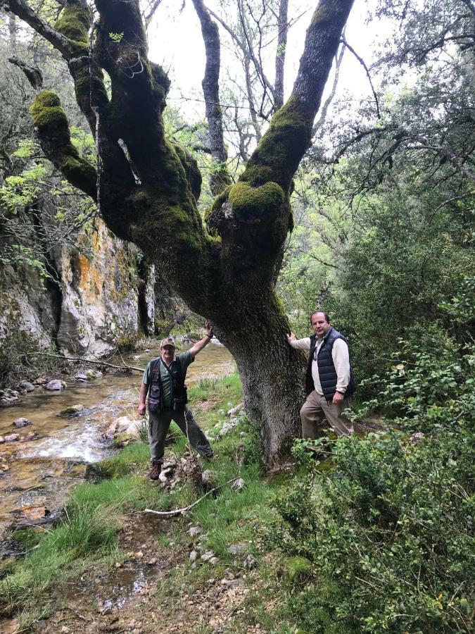 Capellania 7 Daire Arroyo Frio Dış mekan fotoğraf